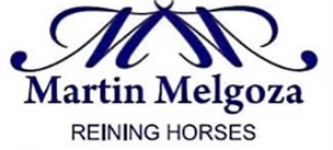 Martin Melgoza Reining Horses
